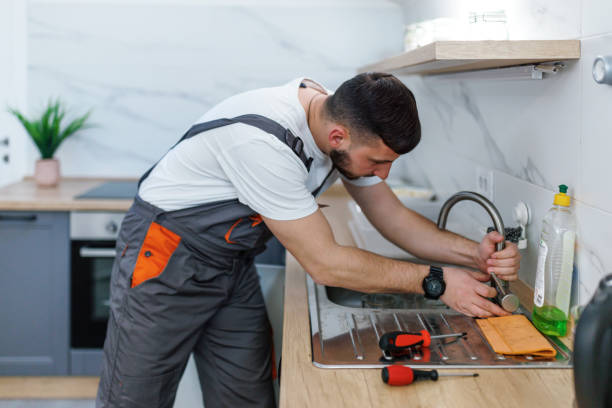 Best Same-Day Plumbing Service  in Menomonie, WI